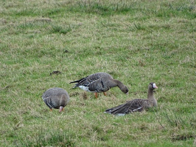 心念老东家！奥斯卡社媒晒照观看海港vs柔佛亚冠比赛